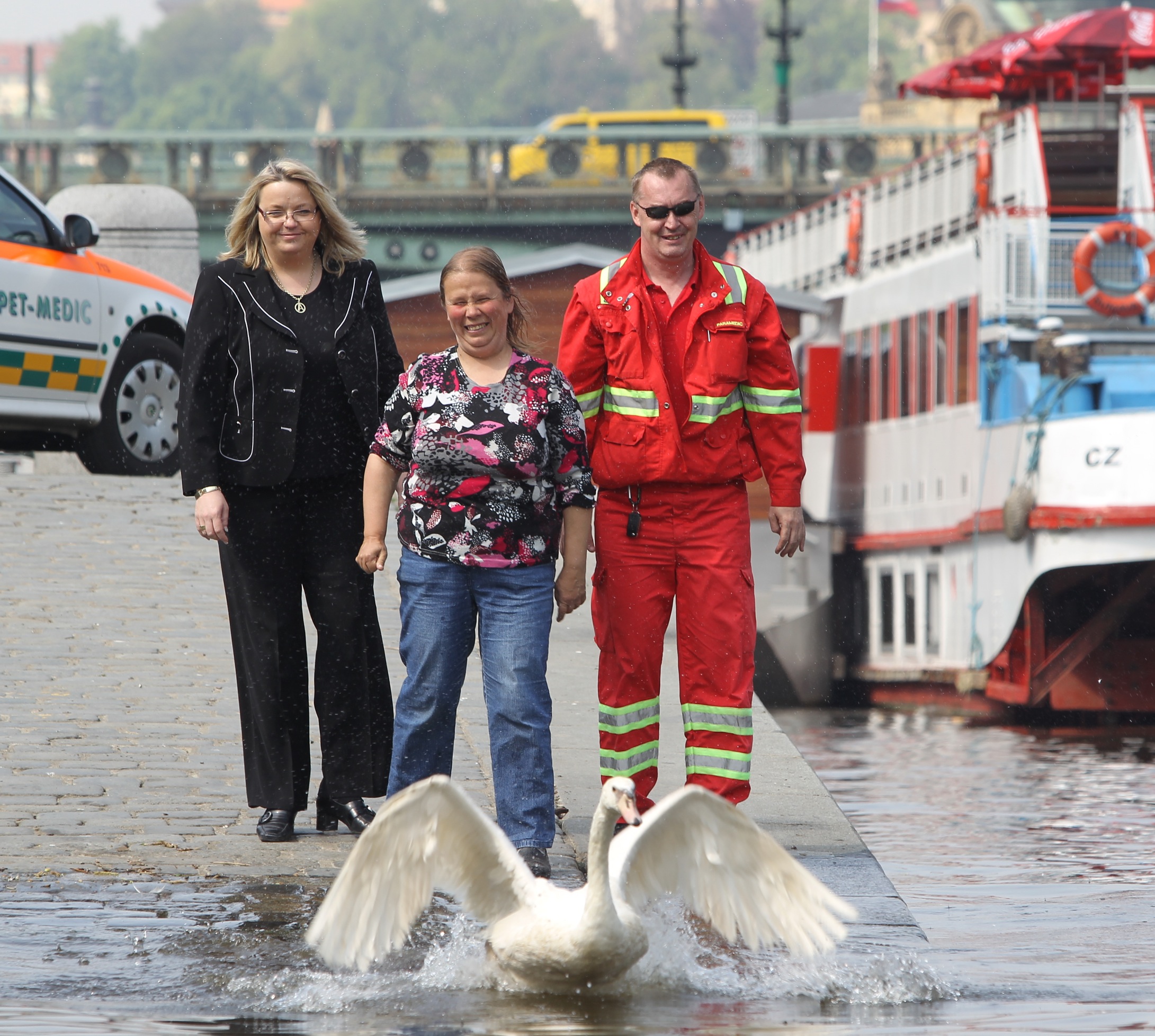 Dvakrát zachráněná labuť opět plave po Vltavě