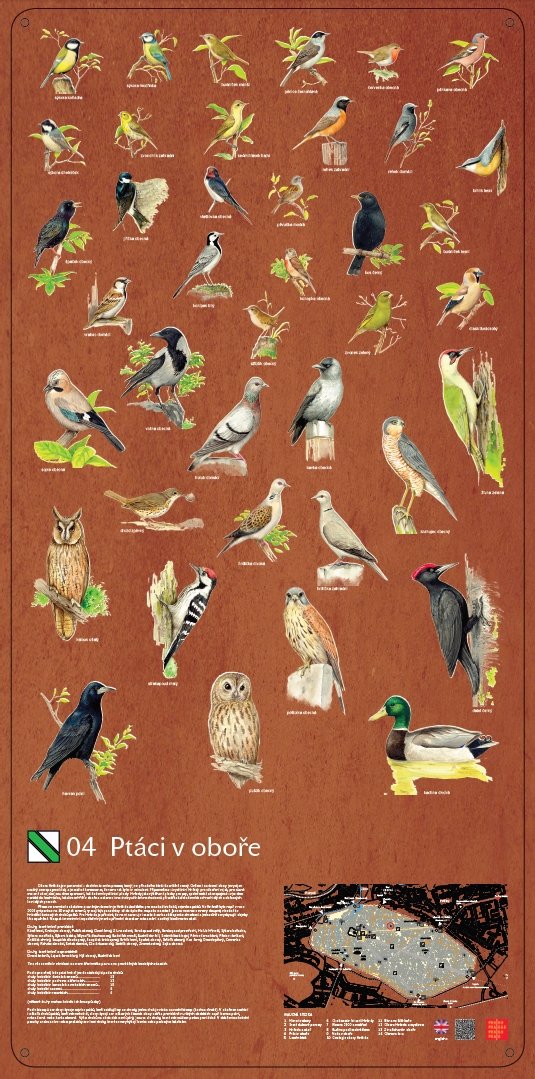 Information board No.4 -  Birds in the Game-Preserve