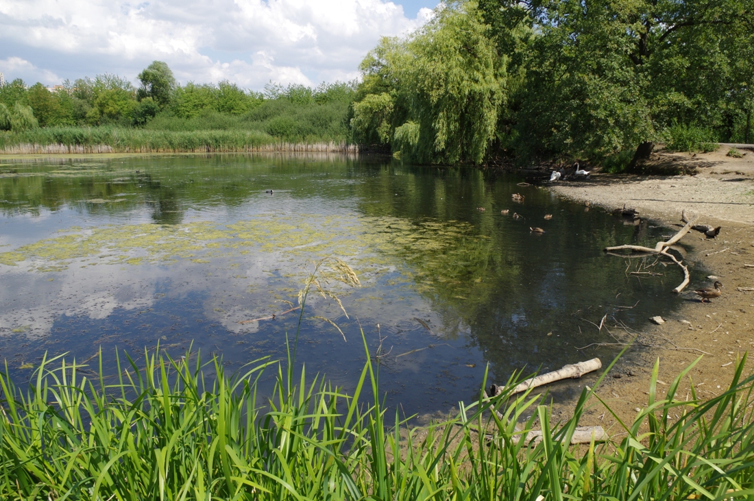 Milíčovský rybník, ilustrační foto