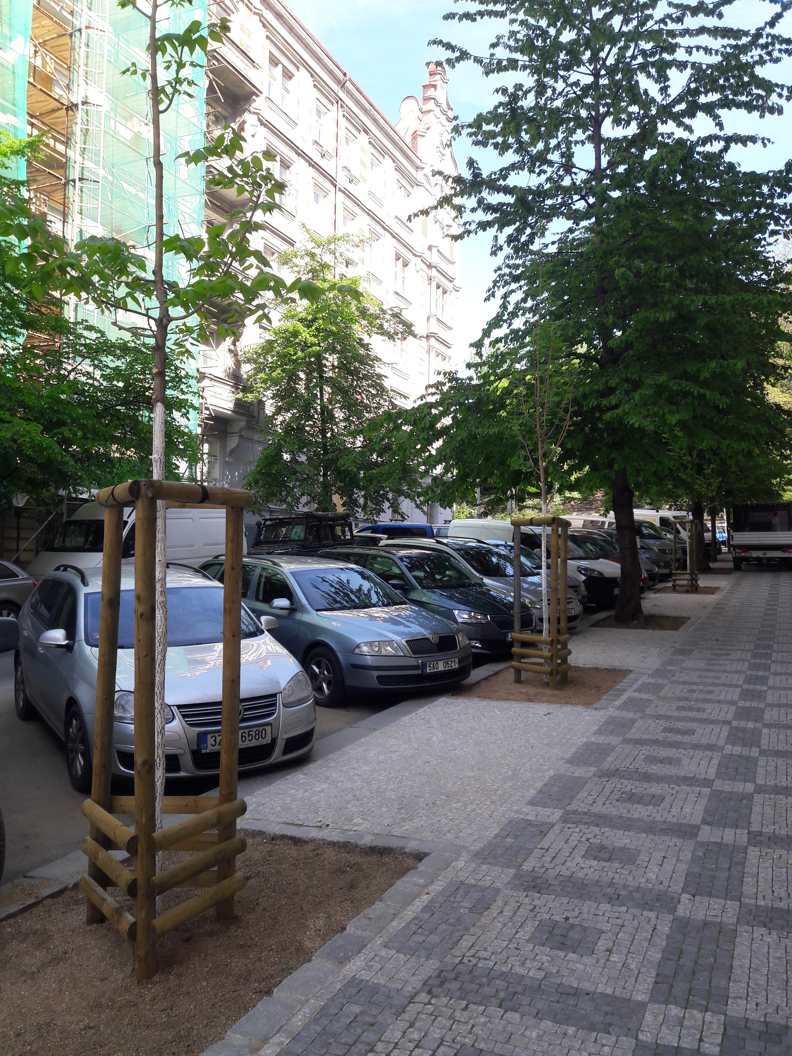 pilotní projekt obnovy stromořadí v ulici Blanická s využitím technologie prokořenitelných prostorů