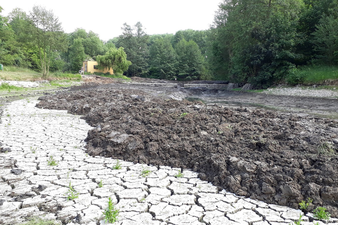 Revitalizace rybníka V Mydlinkách, ilustrační foto