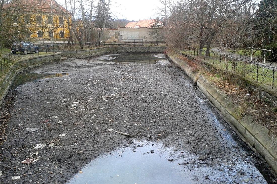 Revitalizace Vokovického rybníka, 2021, ilustr. foto