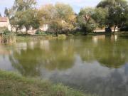 Rybník v Miškovicích