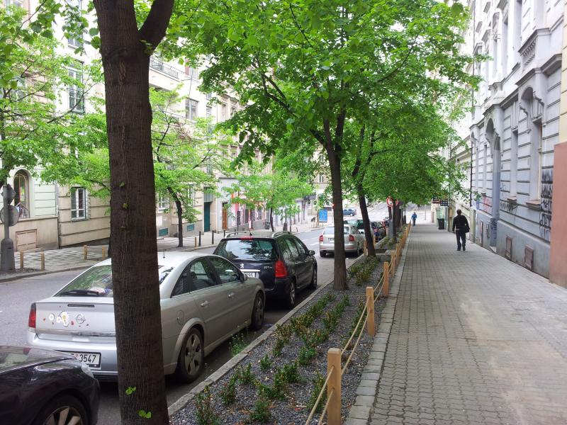 Stromořadí v Italské ulici v Praze 2