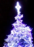 Ve Kbelích se vánoční strom rozsvítí tradičně v Centrálním parku