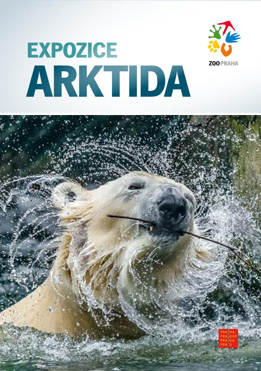 Zoo Praha připravuje expozici Arktida