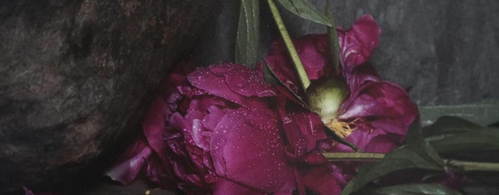 festive_opening_of_the_exhibition_of_ivan_pinkava__ablaze_in_the_sun