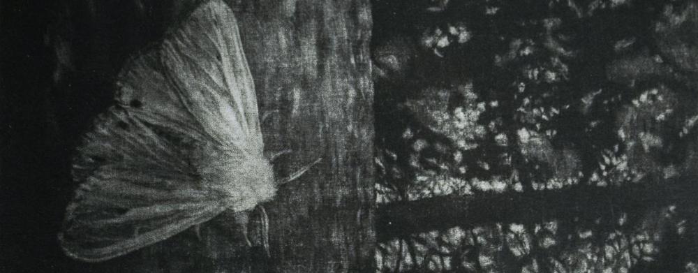 the_festive_opening_of_the_exhibition_lenka_falušiová__wait_till_the_moon_is_full