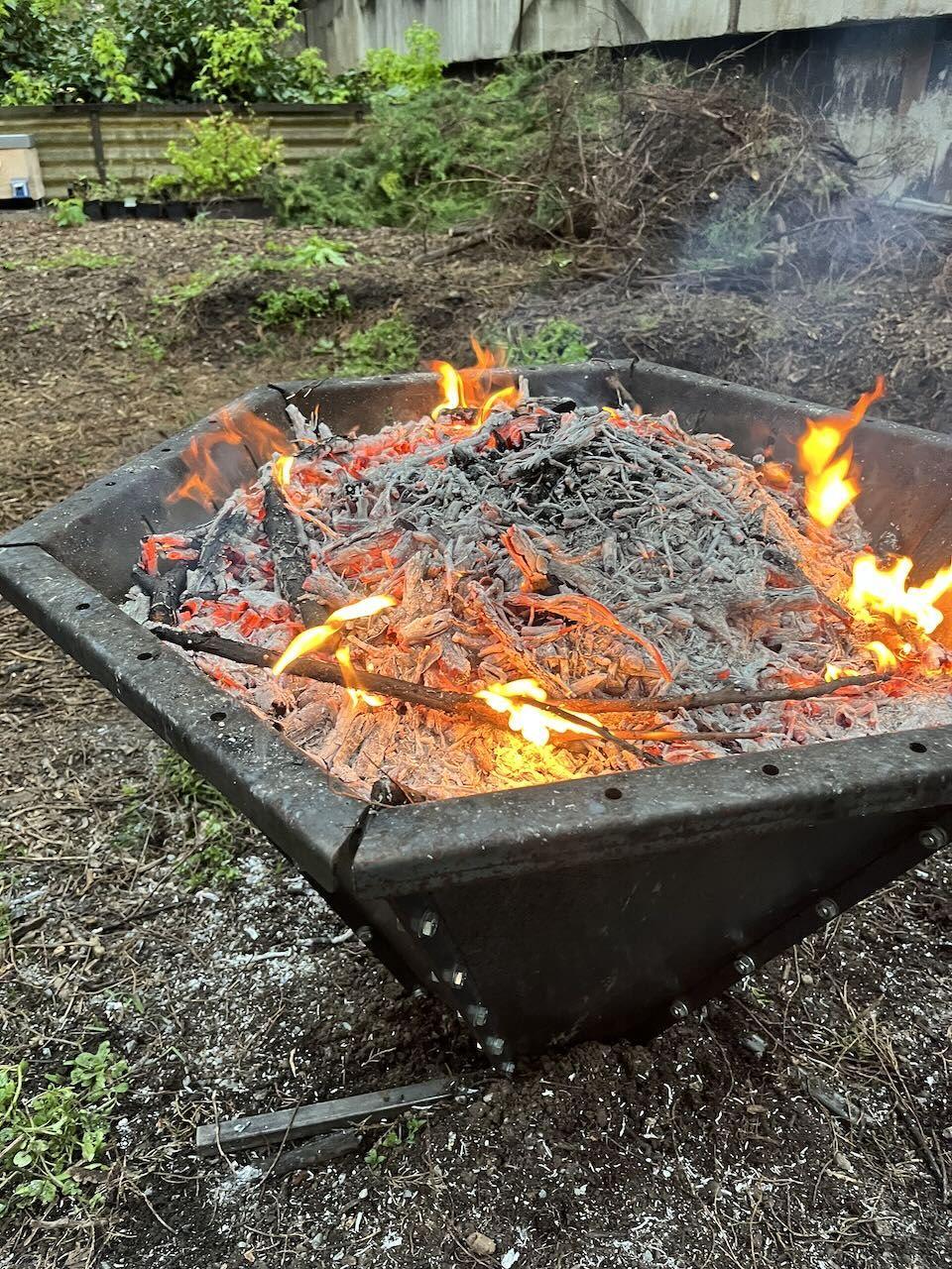 Biouhel_jako_mozna_soucast_klimatickych_opatreni_v_Praze.jpeg