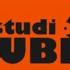 rubin - logo