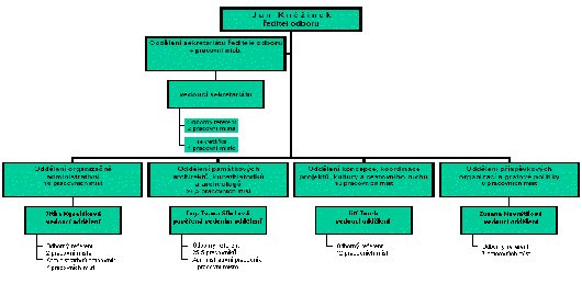 organizační struktura 2005