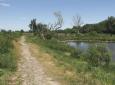 přírodní památka krňák, slepé rameno berounky, nyní konec lipanského potoka