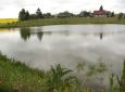 nový rybník pod obcí lipany