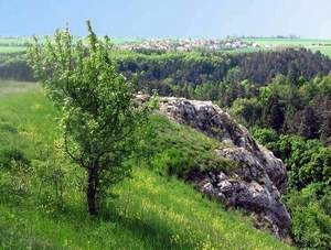 prague nature parks - šárka