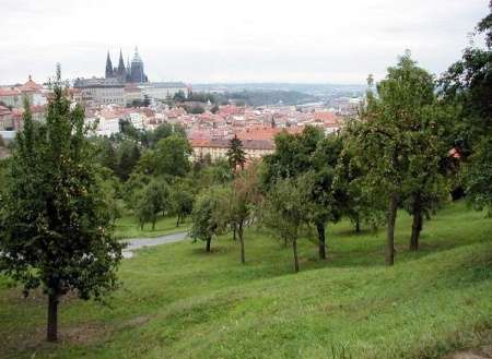 Strahovská zahrada, pohled na Pražský hrad