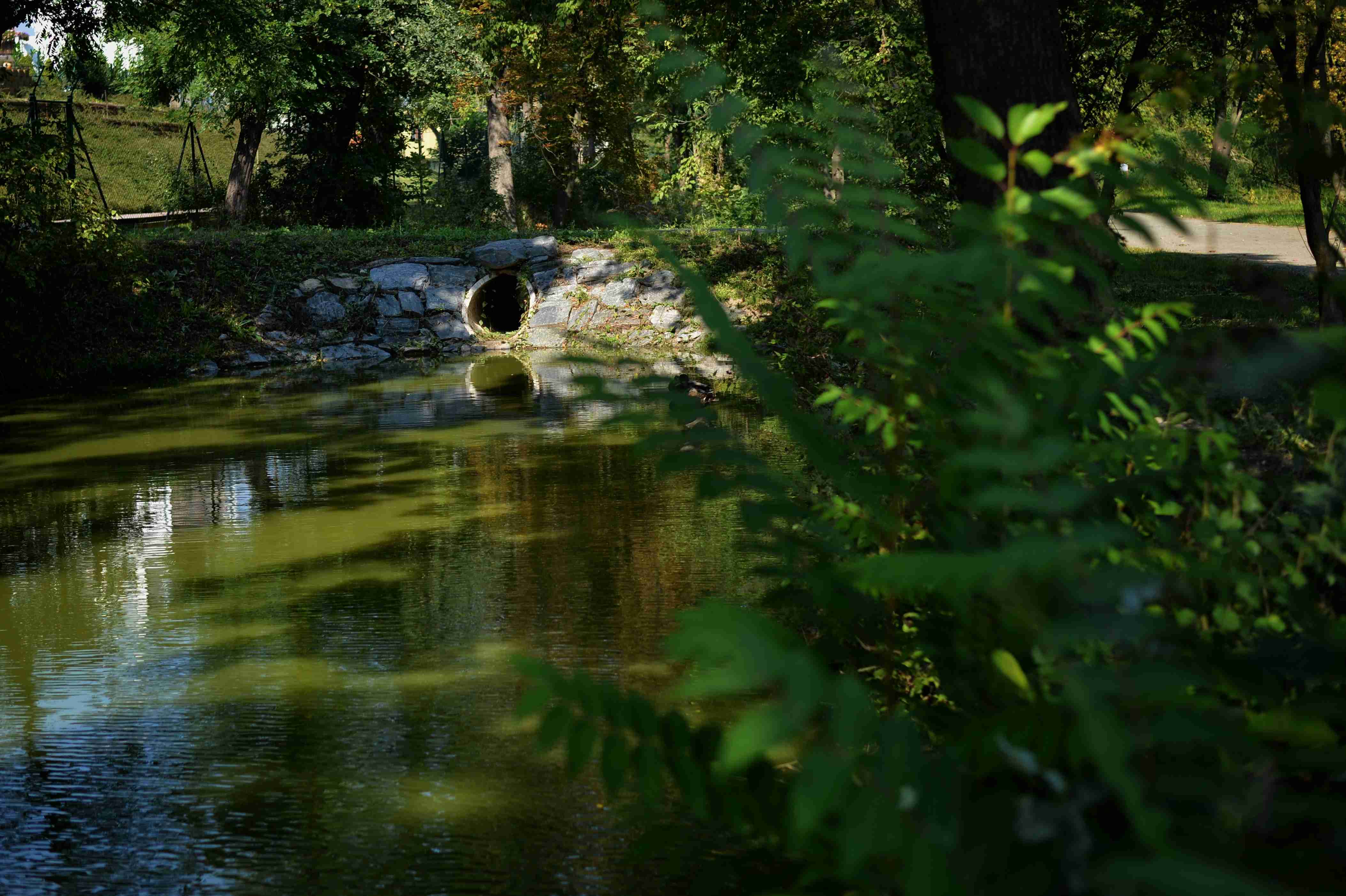 Pokračování revitalizace vodních toků a ploch