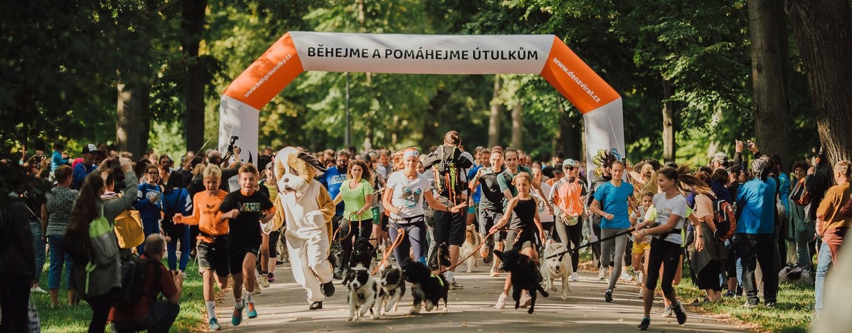 Běh pro útulky