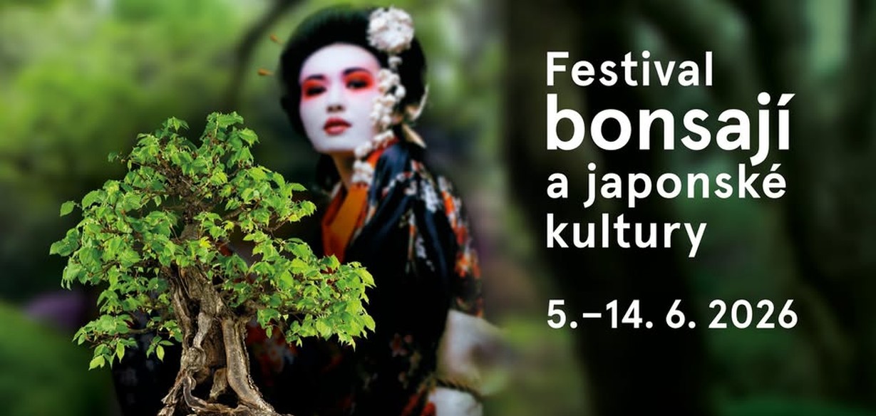 Vizuál festivalu