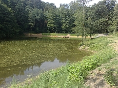 Během června byly dokončeny stavební práce na retenční nádrži Hodkovičky, pokračuje se také v navrácení vody do části Řepského potoka.