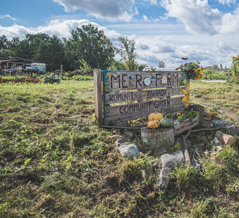 Jeden z pozemků spolku MetroFarm