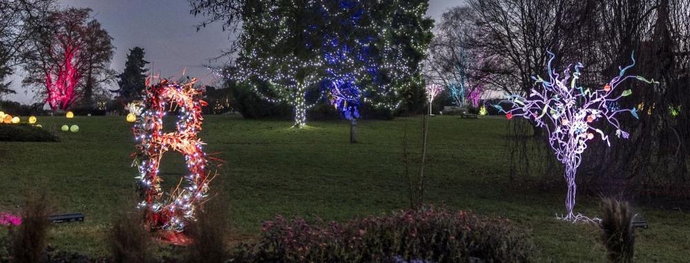 Křišťálová zahrada