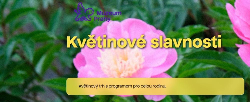 Vizuál akce 
