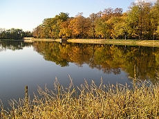 Počernický rybník - celkový pohled