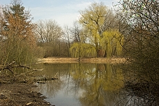 Rybník Kančík