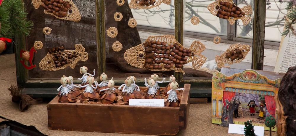 Z výstavy v Botanické zahradě PF UK