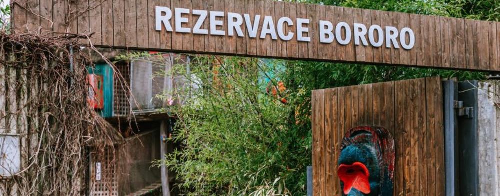 Ilustrační foto - Rezervace Bororo v pražské zoo